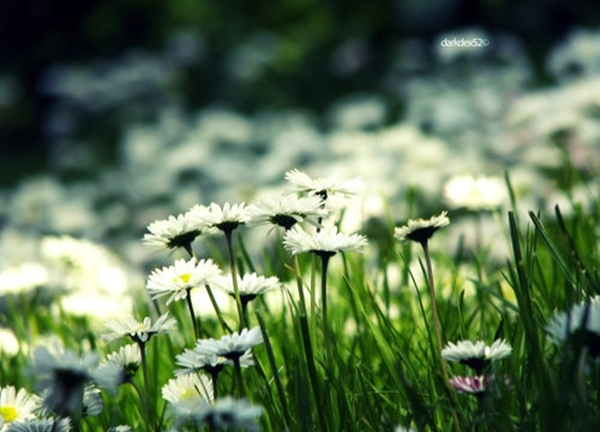 Vận may của bạn hôm nay (2/6)