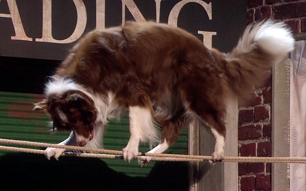 Quán quân Britain's Got Talent bị chỉ trích sau 1 ngày đăng quang