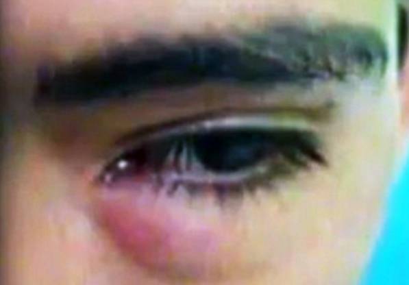 Dùng lá húng quế 