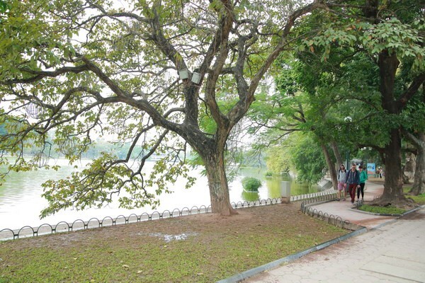 Dự báo thời tiết ngày 9/6: Miền Bắc nhiệt độ giảm