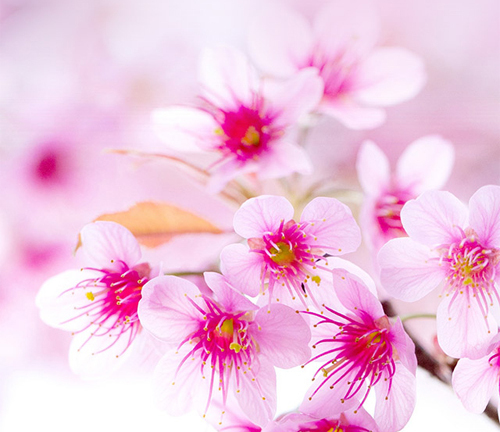 Dự đoán thứ Năm của bạn (11/6)