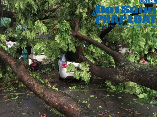 Hà Nội đề phòng nhiều đợt giông lốc 