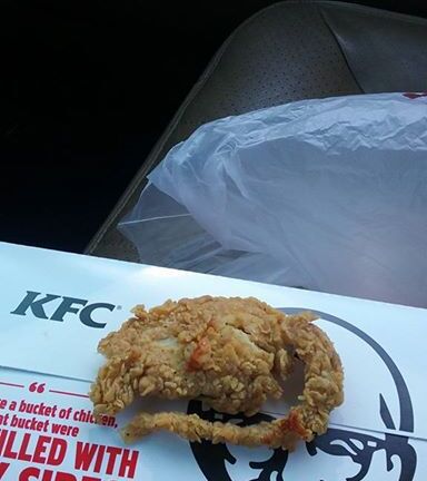 Mỹ: Kinh hoàng phát hiện miếng gà KFC là chuột chiên nguyên con