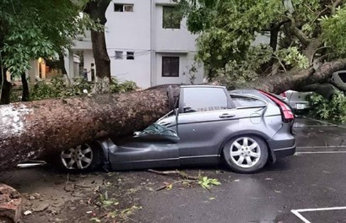 Ô tô bị hư hỏng vì siêu dông tại HN có được bồi thường không?