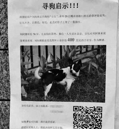 Những đại gia chi tiền tấn để tìm thú cưng gây