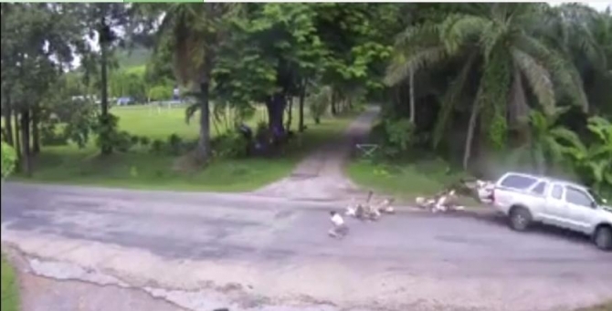 Kinh hoàng cảnh 13 học sinh văng xuống đường sau cú đụng xe