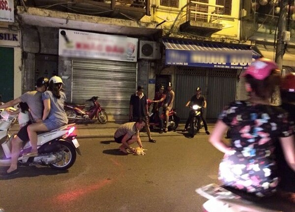 Dân mạng bức xúc vụ chó Pitbull và chủ đi SH bỏ chạy sau khi cắn chết mèo