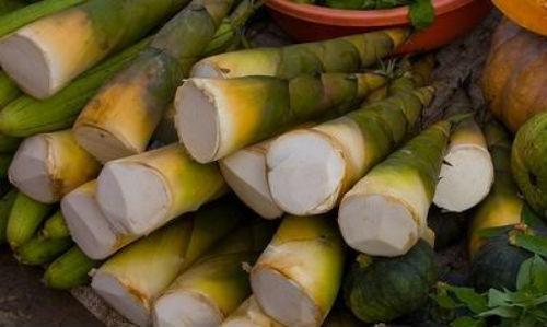 Để không gặp nguy khi ăn măng tươi?