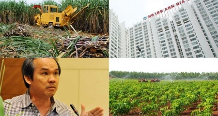 Bầu Đức: Cao ốc