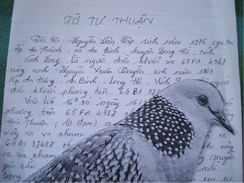 Đòi bồi thường tổn thất tinh thần cho... chim?