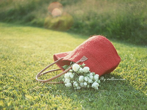 Vận may của bạn hôm nay (30/6)