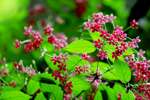 Tình yêu, sự nghiệp của bạn trong tháng 7