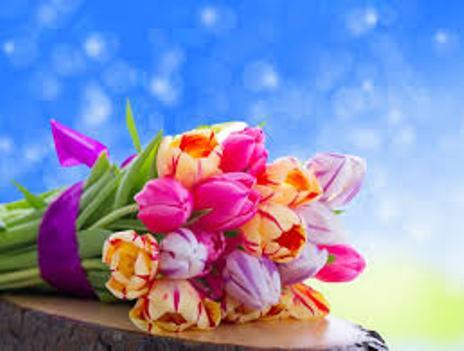 Vận may của bạn hôm nay (5/7)