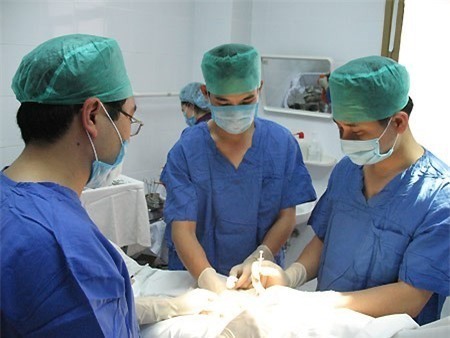 Hành trình tìm lại 