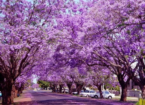 Vận may của bạn hôm nay (15/7)