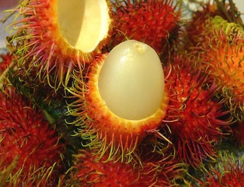 Hóc chôm chôm, một bé 3 tuổi tử vong