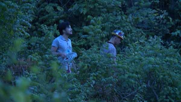 Bố ơi, mình đi đâu thế?: Hài hước chuyện bố đi tìm dê, con đi tìm bố