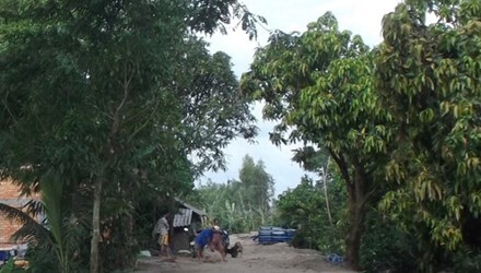 Cụ ông 86 tuổi dùng chĩa đâm con trai rồi uống thuốc sâu tự sát