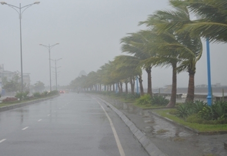 Dự báo thời tiết ngày mai 25/7: Cảnh báo mưa dông, lũ quét