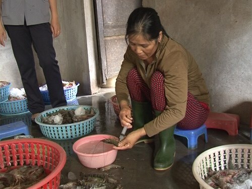Phát hiện chất 'lạ' trong tôm sú
