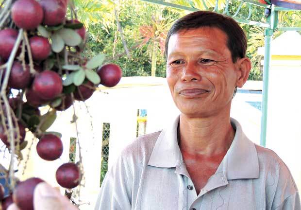 Độc đáo nhãn tím 100.000 đồng/kg