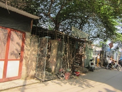 “Quyền lực ngầm” trong thế giới xà xẻo đất nông nghiệp thành nhà ở 