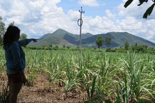 Bắt hai nghi phạm bắt cóc bé 4 tuổi đòi chuộc 1 tỷ đồng