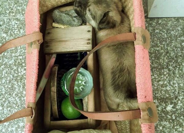 Cảm động bức ảnh