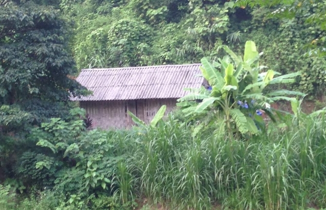 Phó Thủ tướng: Khẩn trương truy bắt đối tượng giết người tại Yên Bái