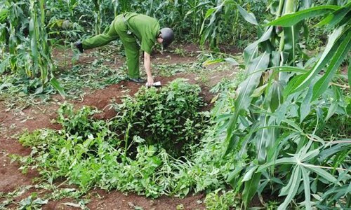 Té xuống giếng sâu hơn 30m, người phụ nữ gào thét kêu cứu suốt một đêm