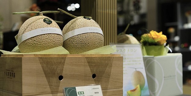Nguyên nhân khiến dưa lưới Nhật Bản có giá nửa tỷ/cặp