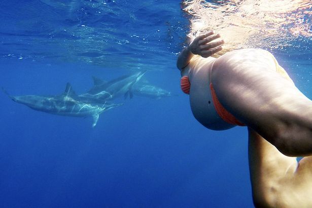 Kỳ lạ bà bầu muốn sinh con dưới biển