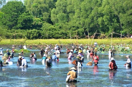 Hàng trăm người đầm mình dưới hồ giữa trưa bắt cá