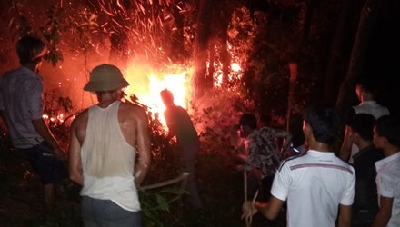 Cháy rừng thông, hàng trăm người dập lửa tại Hà Tĩnh