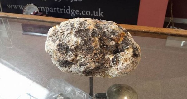 Kiếm gần 250 triệu đồng nhờ nhặt được mảnh phân cá voi