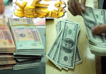 Tỷ giá USD/VND hôm nay (14/9) tương đối ổn định