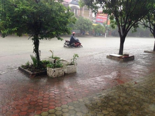 Dự báo thời tiết ngày mai 17/9: Cảnh báo lũ quét trên sông miền Trung