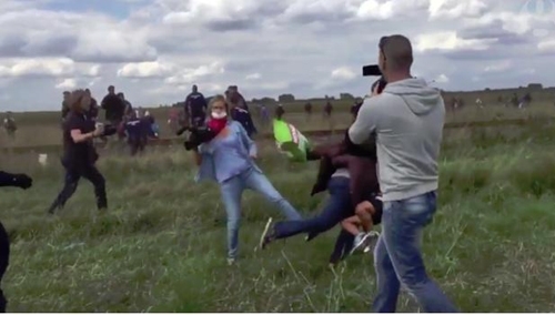 Ông bố tị nạn bị phóng viên “đốn ngã” được mời làm HLV