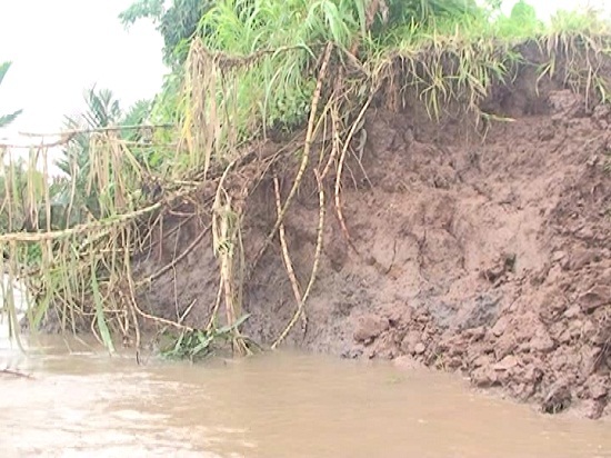 Trà Vinh chủ động xử lý sạt lở bờ sông