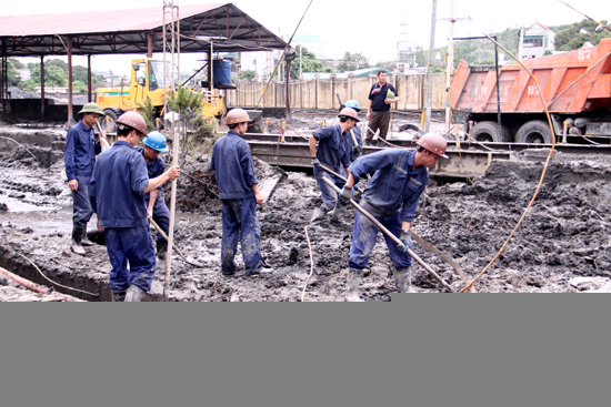 Hỗ trợ Quảng Ninh phục hồi sản xuất kinh doanh sau bão 