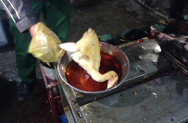 Dùng hóa chất biến da gà trắng thành vàng ươm