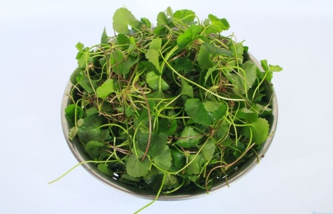 Ngan xào rau má thanh mát cho bữa cơm trưa