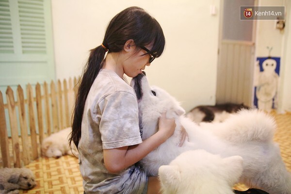 Clip: Thích thú chú chó 'Sài Gòn' sủa theo âm điệu