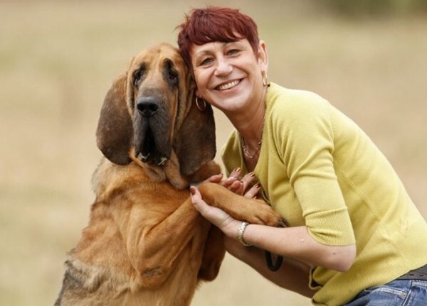 Nhà giàu chi trăm triệu nâng cơ mặt, giảm vòng eo cho... thú cưng