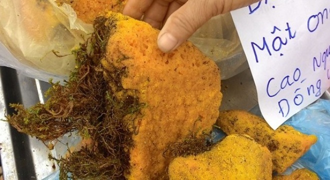 Mật ong hóa đá 800.000 đồng/kg có gì đặc biệt?
