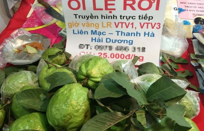 Ổi Lệ Rơi bán 