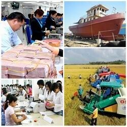 Chỉ đạo, điều hành của Chính phủ, Thủ tướng Chính phủ nổi bật tuần 5-9/10/2015