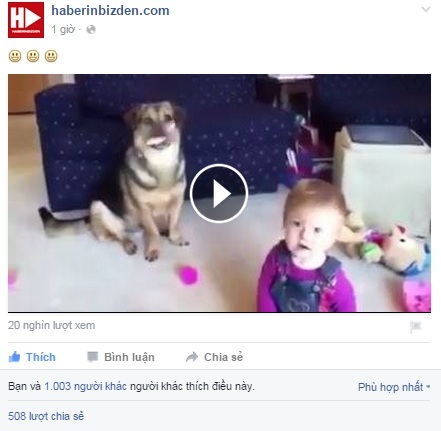 “Chết mê” với điệu cười giòn tan của em bé khi thấy chó bắt bong bóng