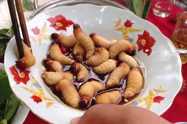 Sự thật về món nhộng sống bò lúc nhúc gây sốt mạng