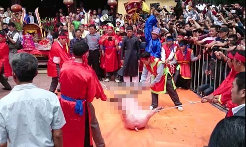 Lễ hội chém lợn tại tỉnh Bắc Ninh sẽ chuyển vào nơi kín đáo